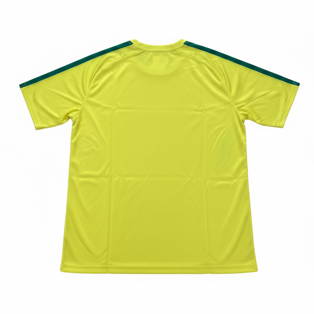 Retro Brazil Number 10 Jersey
