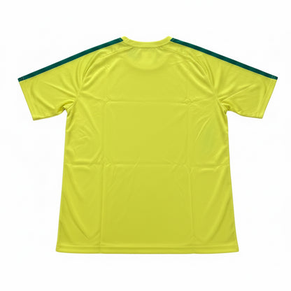 Retro Brazil Number 10 Jersey